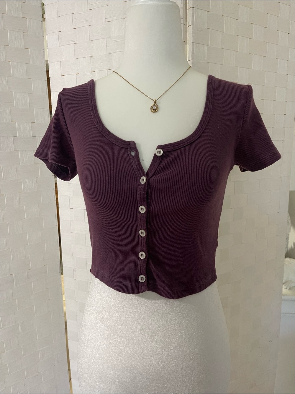Brandy Melville Plum Ribbed Button-Front Crop Top